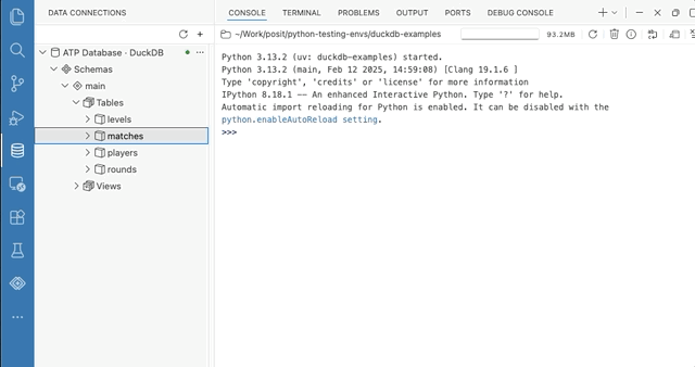 Browsing the schemas and tables of a DuckDB connection in the Data Connections panel, then opening a table in the Data Explorer to see its column profiles and data.
